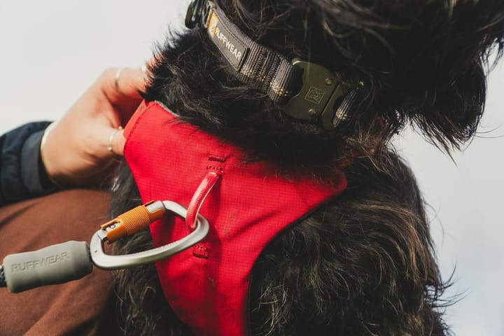 Ruffwear Web Master Dog Harness with Handle Red Canyon Ruffwear