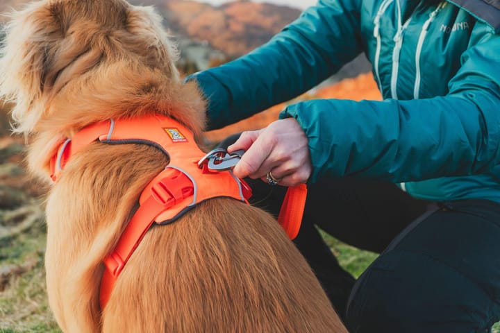 Ruffwear Front Range Harness Blaze Orange Ruffwear