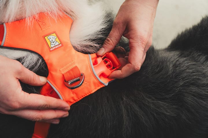 Ruffwear Front Range Harness Blaze Orange Ruffwear