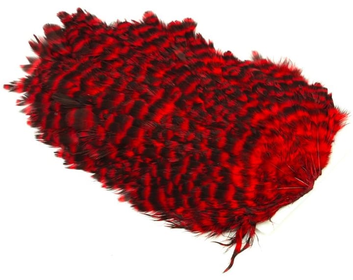 Whiting 4b Hen Saddle Whiting