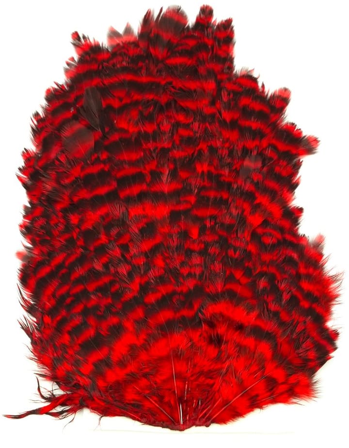Whiting 4b Hen Saddle Whiting