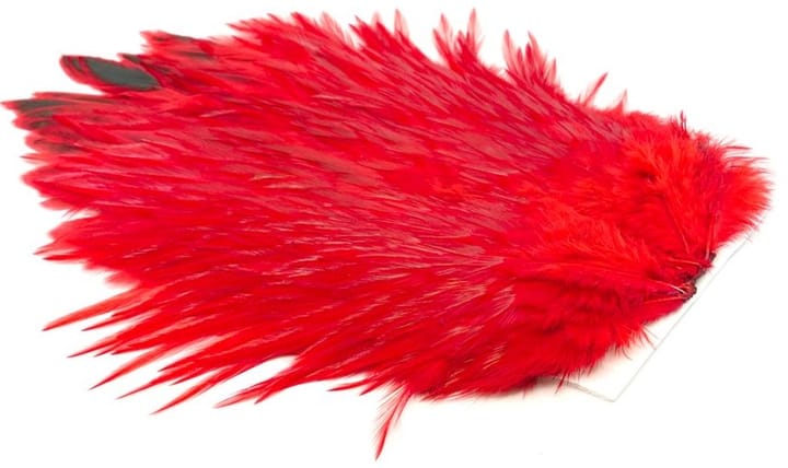 Whiting 4b Rooster Saddle Whiting