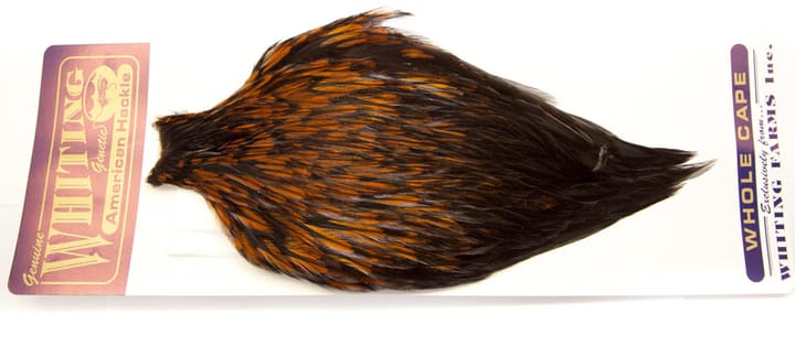 Whiting Whiting Am. Rooster Cape - Furnace Whiting