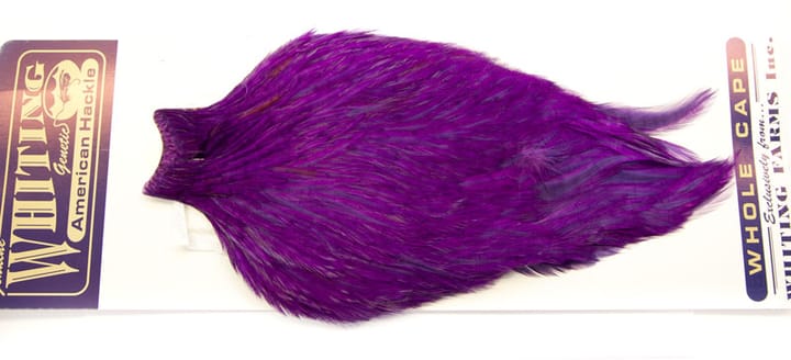 Whiting Whiting Am. Rooster Cape - Purple (White Dyed) Whiting