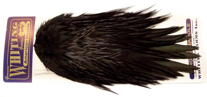 Whiting Whiting Am. Rooster Saddle - Black Whiting