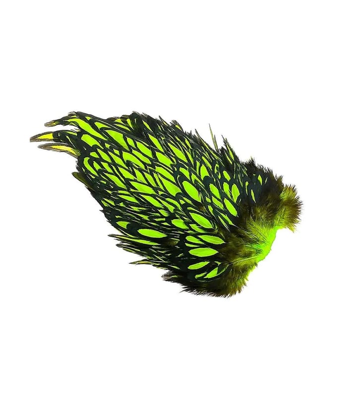 Whiting American Hen Saddle Whiting Whiting American Hen Saddle Whiting