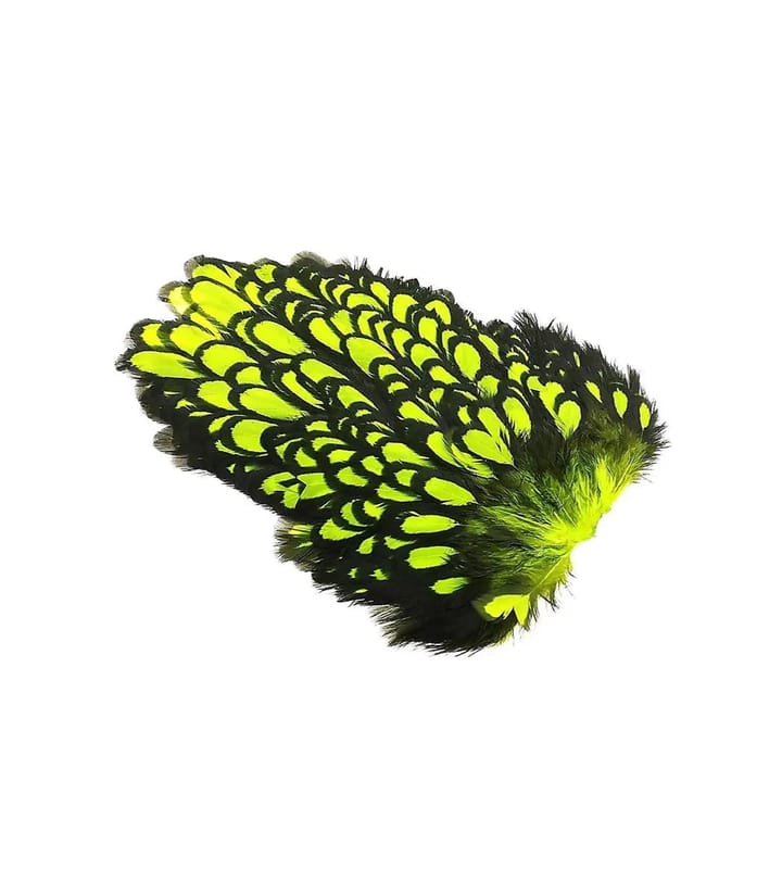 Whiting American Hen Saddle Whiting