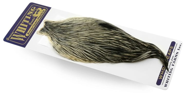 Whiting American Rooster Cape Whiting
