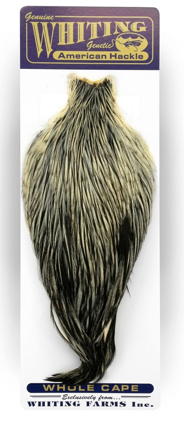 Whiting American Rooster Cape Whiting
