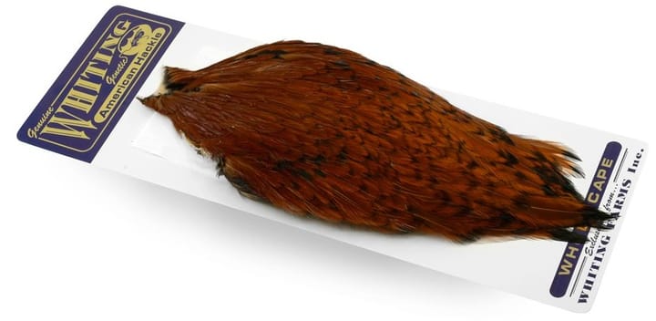 Whiting American Rooster Cape Whiting