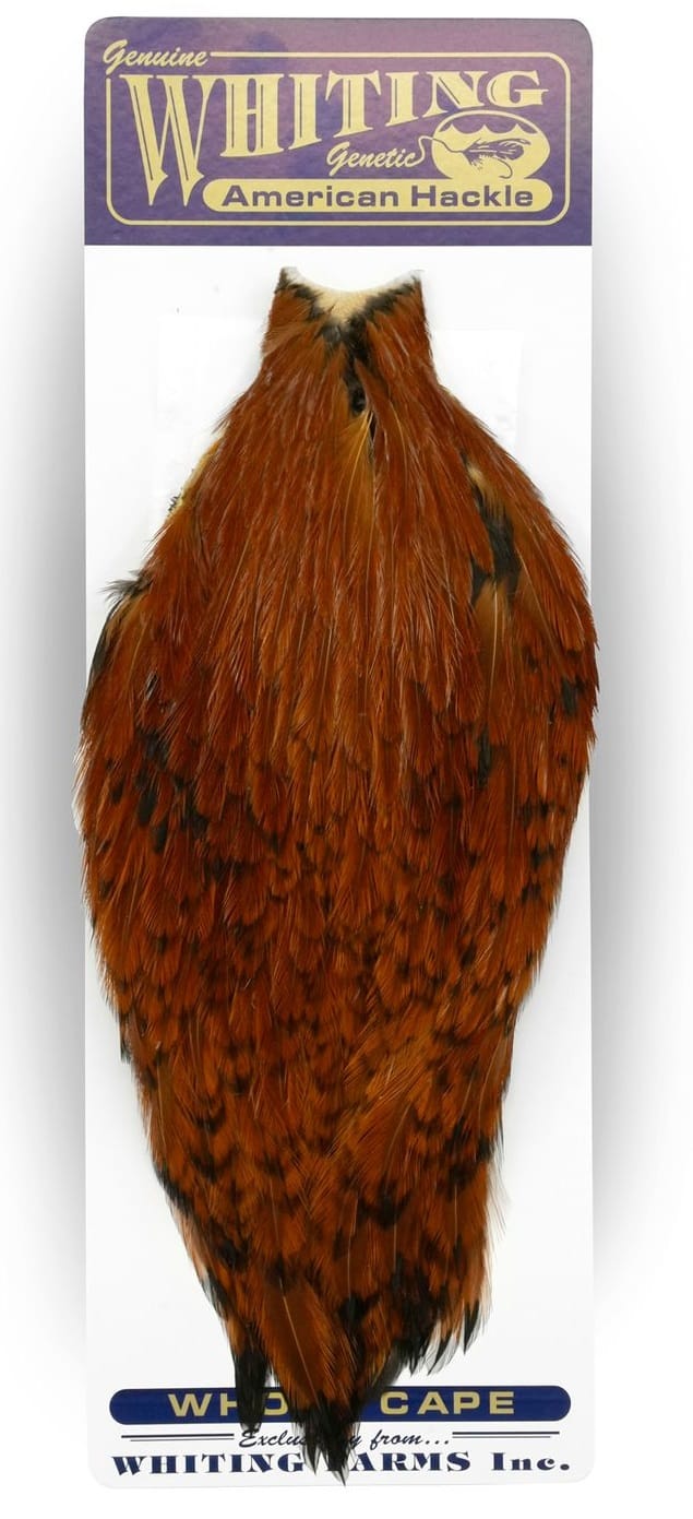 Whiting American Rooster Cape Whiting