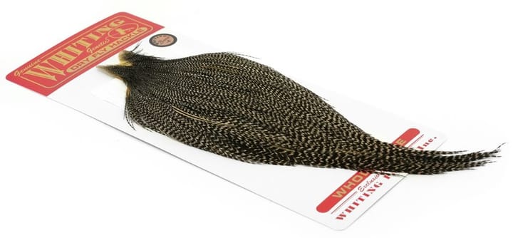 Whiting Bronze Cape Whiting