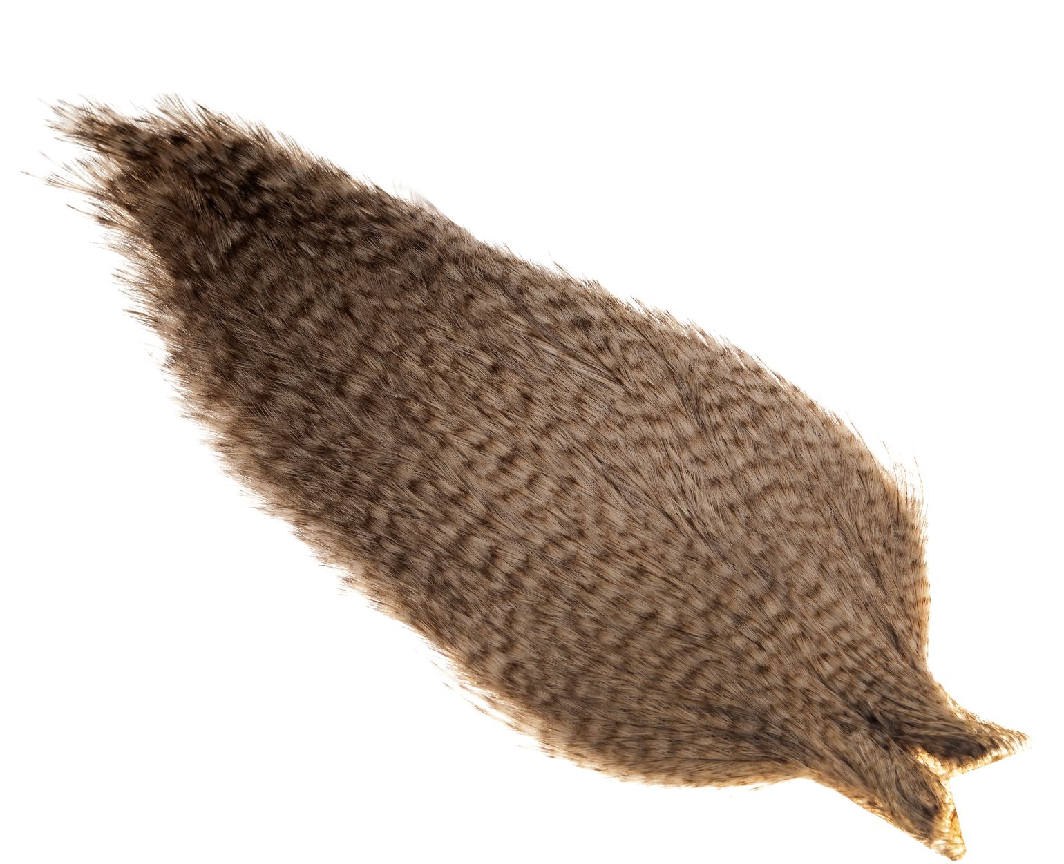 Whiting Coq De Leon Rooster Cape