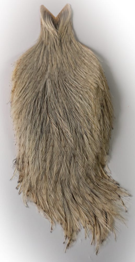 Whiting Whiting Coq De Leon Rooster Cape Unique Variant