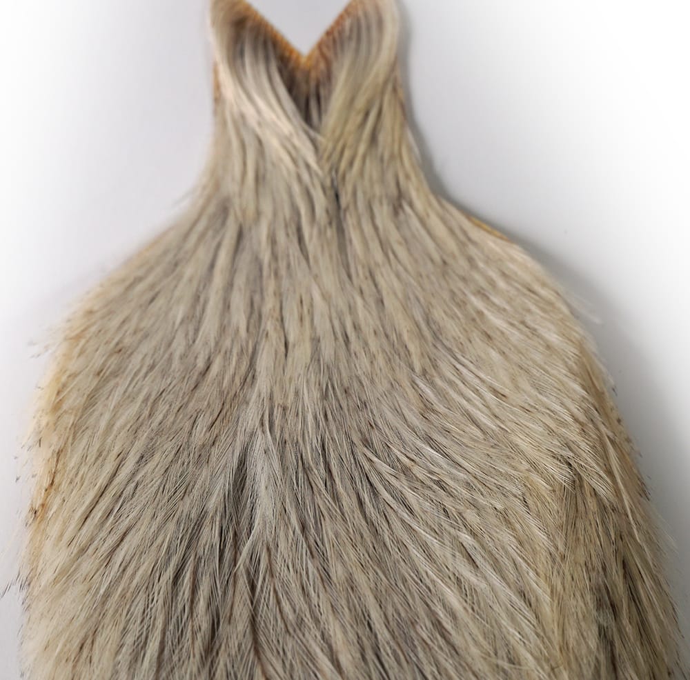 Whiting Whiting Coq De Leon Rooster Cape Unique Variant