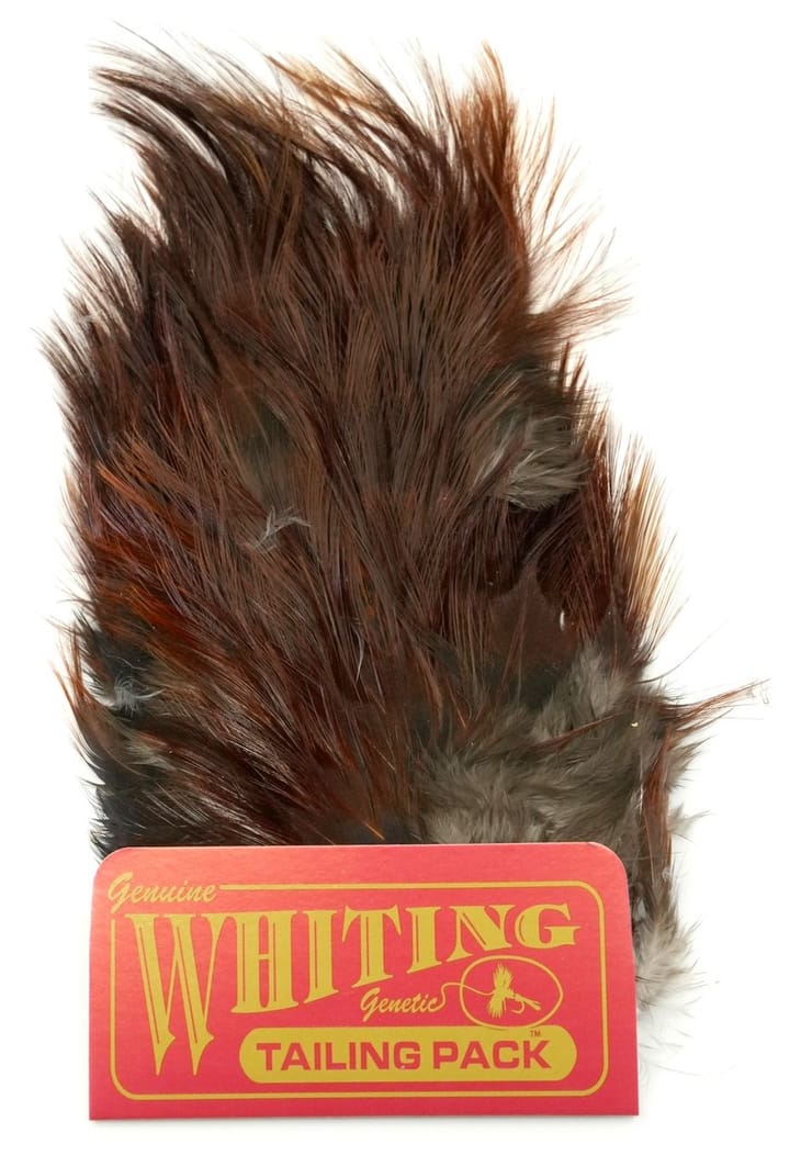 Whiting Coq De Leon Tailing Pack Whiting