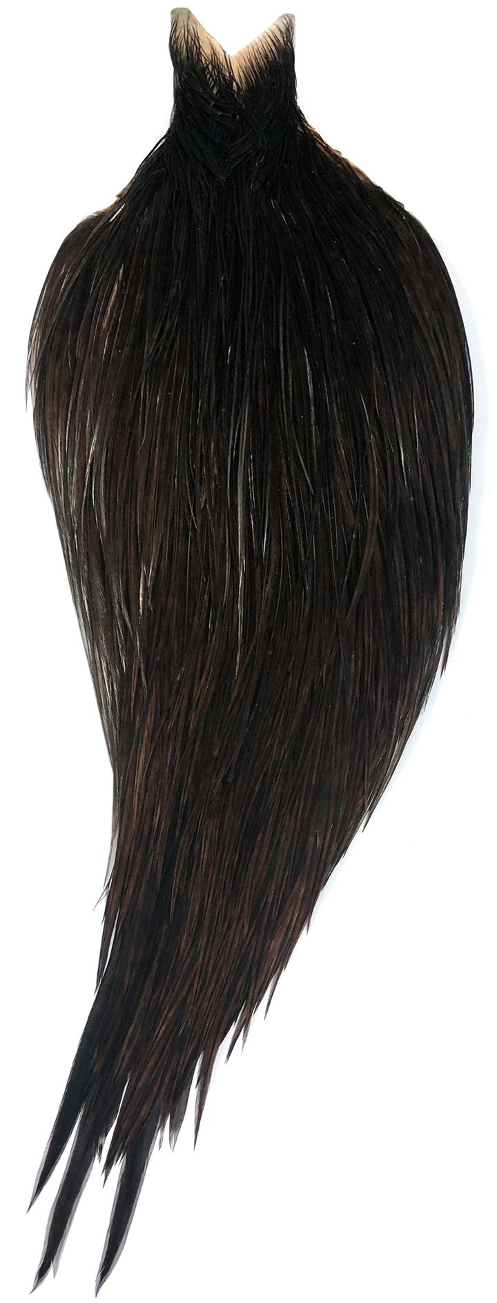 Whiting Hebert-Miner Cape - Dark Brown Dun Bronsegradering Whiting Whiting Hebert-Miner Cape - Dark Brown Dun Bronsegradering Whiting