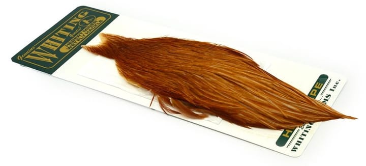 Whiting Hebert Hen Cape Whiting Whiting Hebert Hen Cape Whiting
