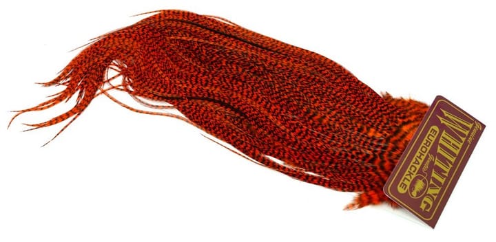 Whiting Hebert Pro Grade Saddle Whiting