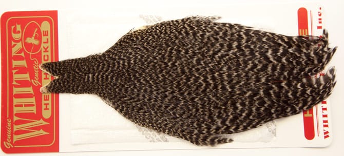 Whiting Whiting Hen Cape - Grizzly Whiting Whiting Whiting Hen Cape - Grizzly Whiting
