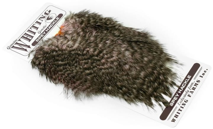 Whiting Whiting Spey Hackle Hen Saddle Grizzly Dyed Shell Pink Whiting Whiting Whiting Spey Hackle Hen Saddle Grizzly Dyed Shell Pink Whiting