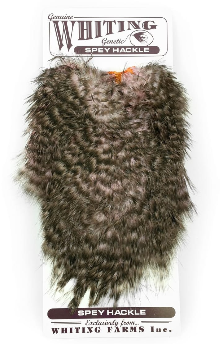 Whiting Whiting Spey Hackle Hen Saddle Grizzly Dyed Shell Pink Whiting Whiting Whiting Spey Hackle Hen Saddle Grizzly Dyed Shell Pink Whiting