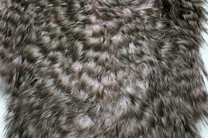 Whiting Whiting Spey Hackle Hen Saddle Grizzly Dyed Shell Pink Whiting Whiting Whiting Spey Hackle Hen Saddle Grizzly Dyed Shell Pink Whiting