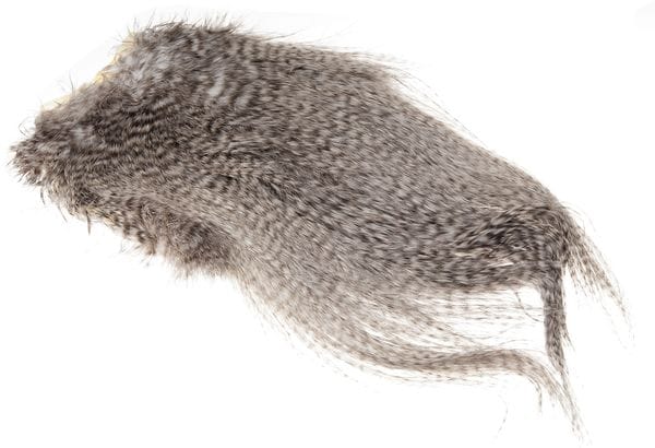Whiting Whiting Spey Saddle - Grizzly Bronsegradering Whiting Whiting Whiting Spey Saddle - Grizzly Bronsegradering Whiting