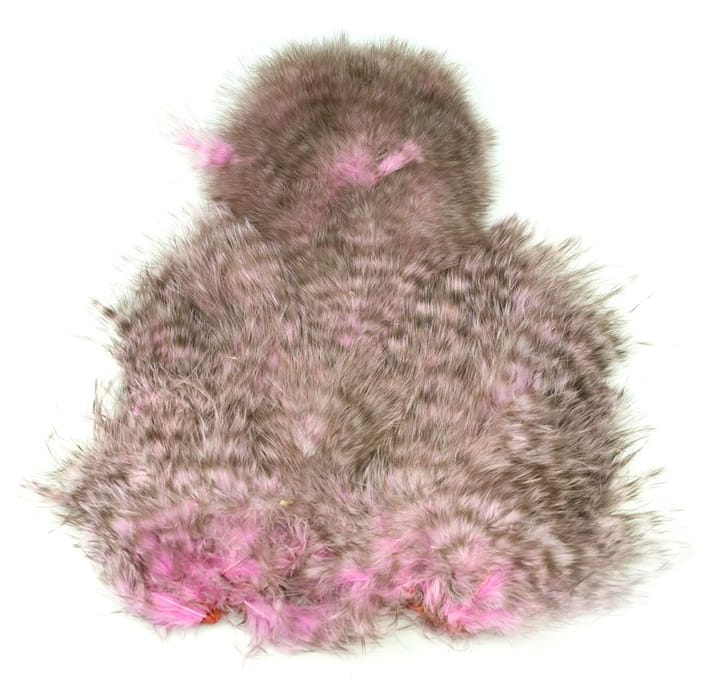 Whiting Spey Softhackle Chickabou Grizzly Dyed Shell Pink Whiting