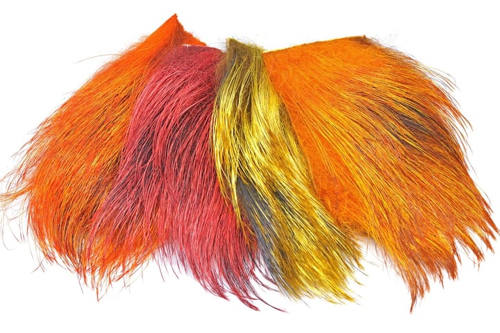 FutureFly Wild Boar FutureFly FutureFly Wild Boar FutureFly