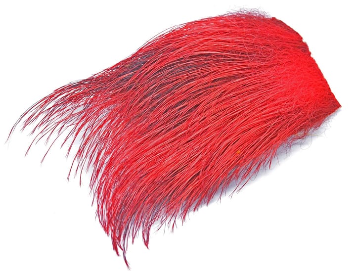 FutureFly Wild Boar FutureFly