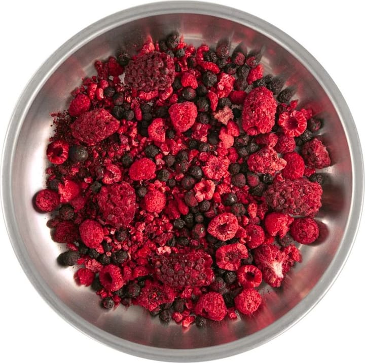 Lyofood Wild Berry Mix Onecolour Lyofood Lyofood Wild Berry Mix Onecolour Lyofood