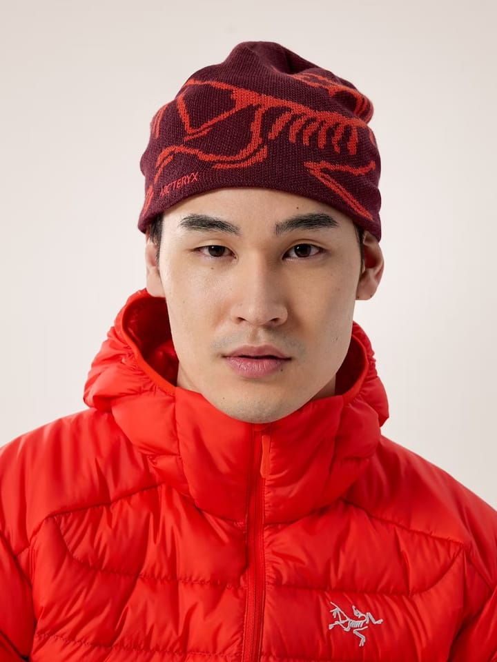 Arc'teryx Bird Head Toque Mars / Dynasty Arc'teryx Arc'teryx Bird Head Toque Mars / Dynasty Arc'teryx