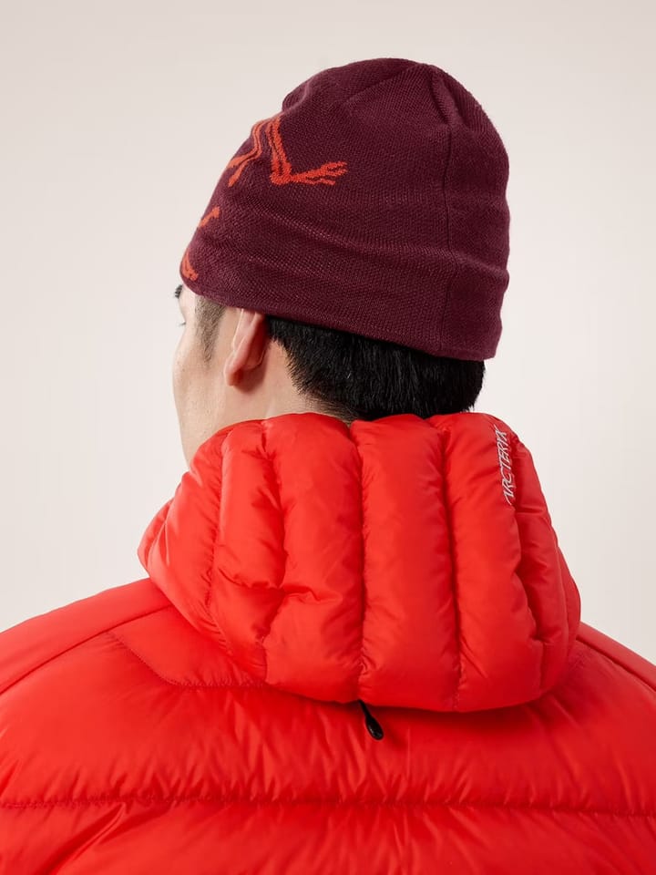 Arc'teryx Bird Head Toque Mars / Dynasty Arc'teryx Arc'teryx Bird Head Toque Mars / Dynasty Arc'teryx