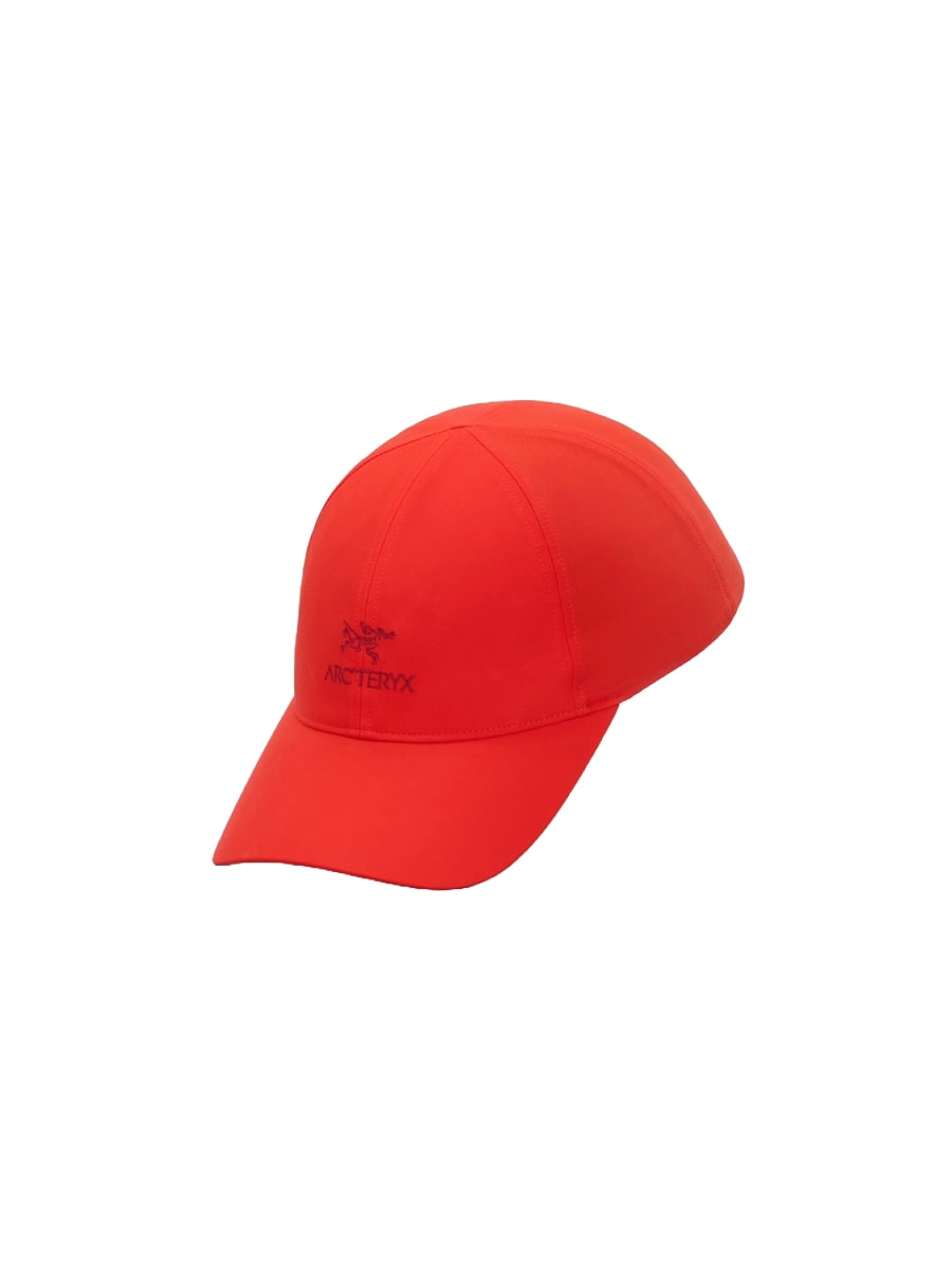 Arc'teryx Bird Word Cap Dynasty