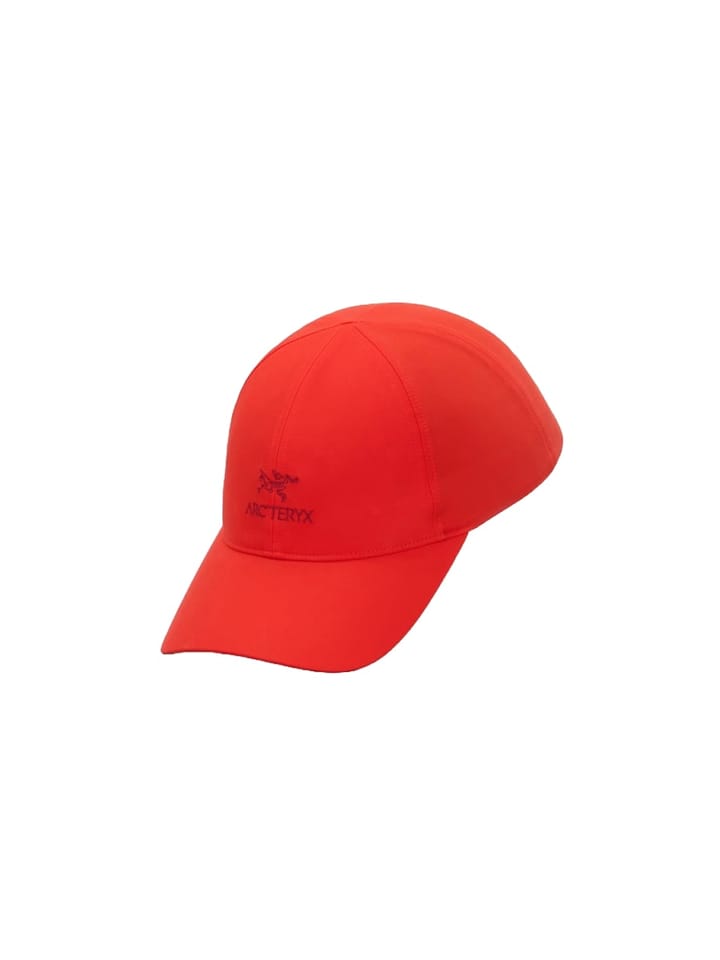 Arc'teryx Bird Word Cap Dynasty Arc'teryx