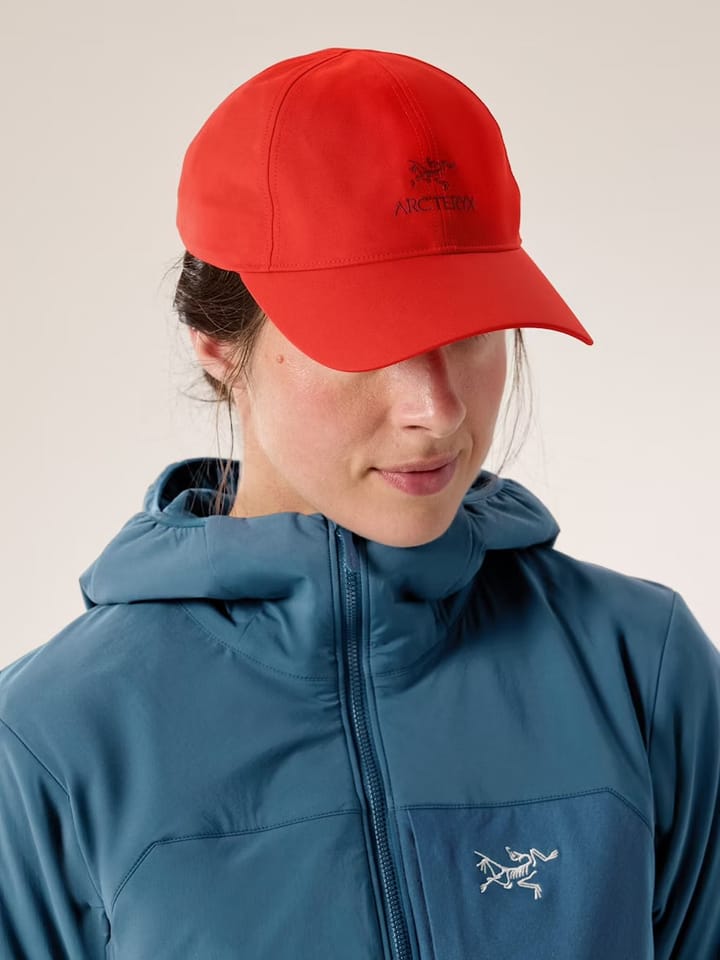 Arc'teryx Bird Word Cap Dynasty Arc'teryx Arc'teryx Bird Word Cap Dynasty Arc'teryx