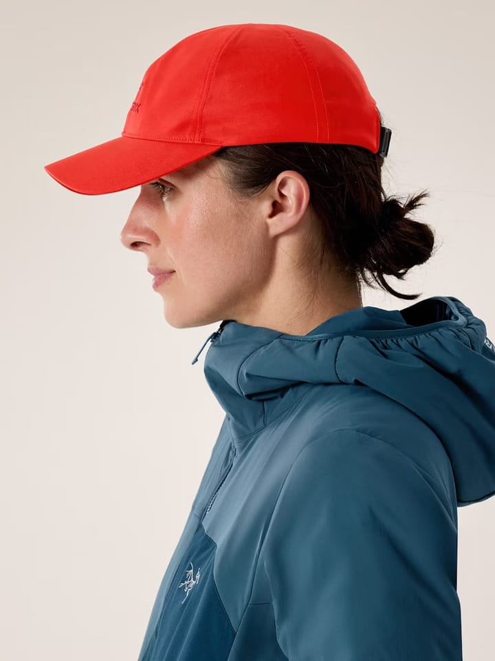Arc'teryx Bird Word Cap Dynasty Arc'teryx Arc'teryx Bird Word Cap Dynasty Arc'teryx