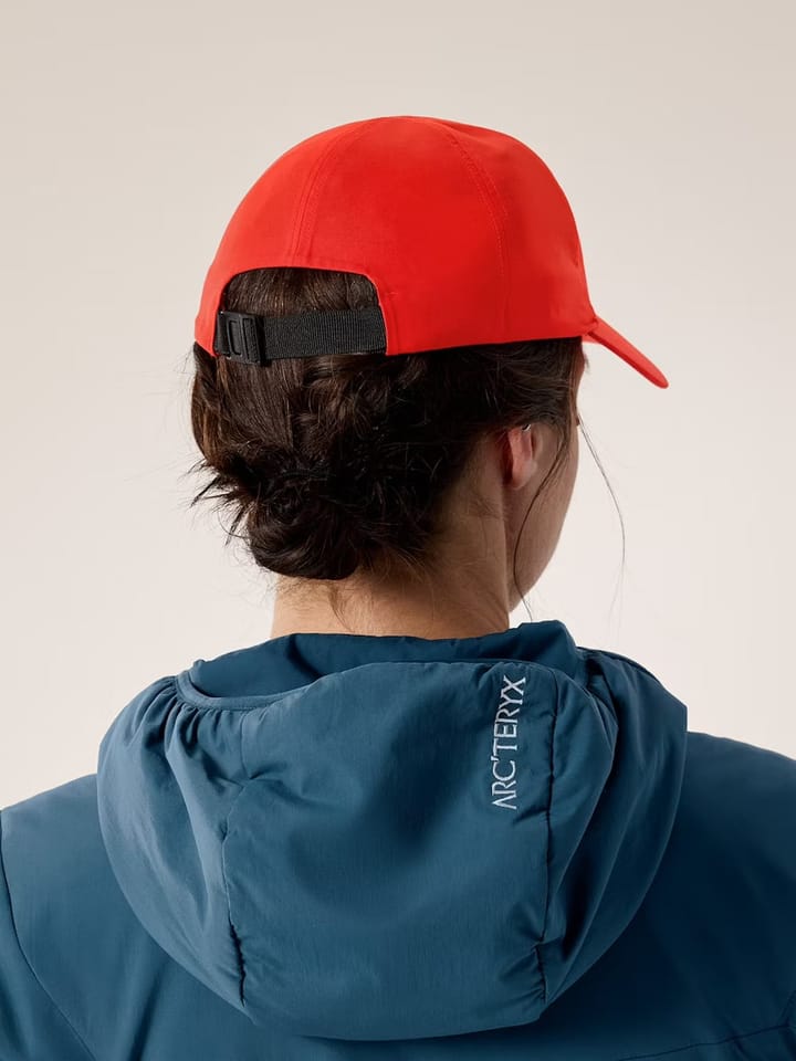 Arc'teryx Bird Word Cap Dynasty Arc'teryx Arc'teryx Bird Word Cap Dynasty Arc'teryx