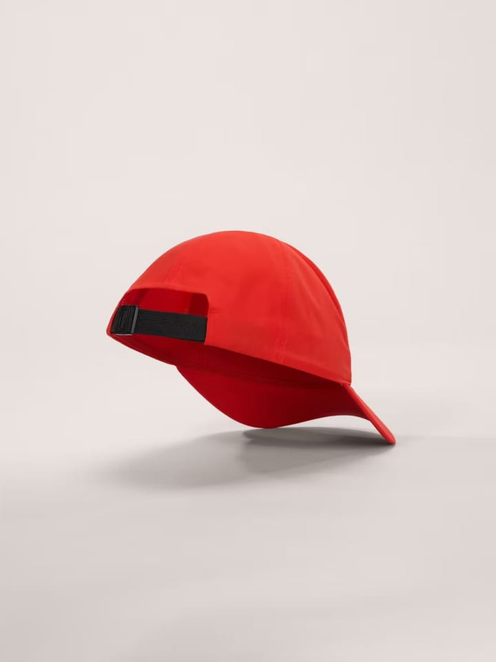 Arc'teryx Bird Word Cap Dynasty Arc'teryx Arc'teryx Bird Word Cap Dynasty Arc'teryx