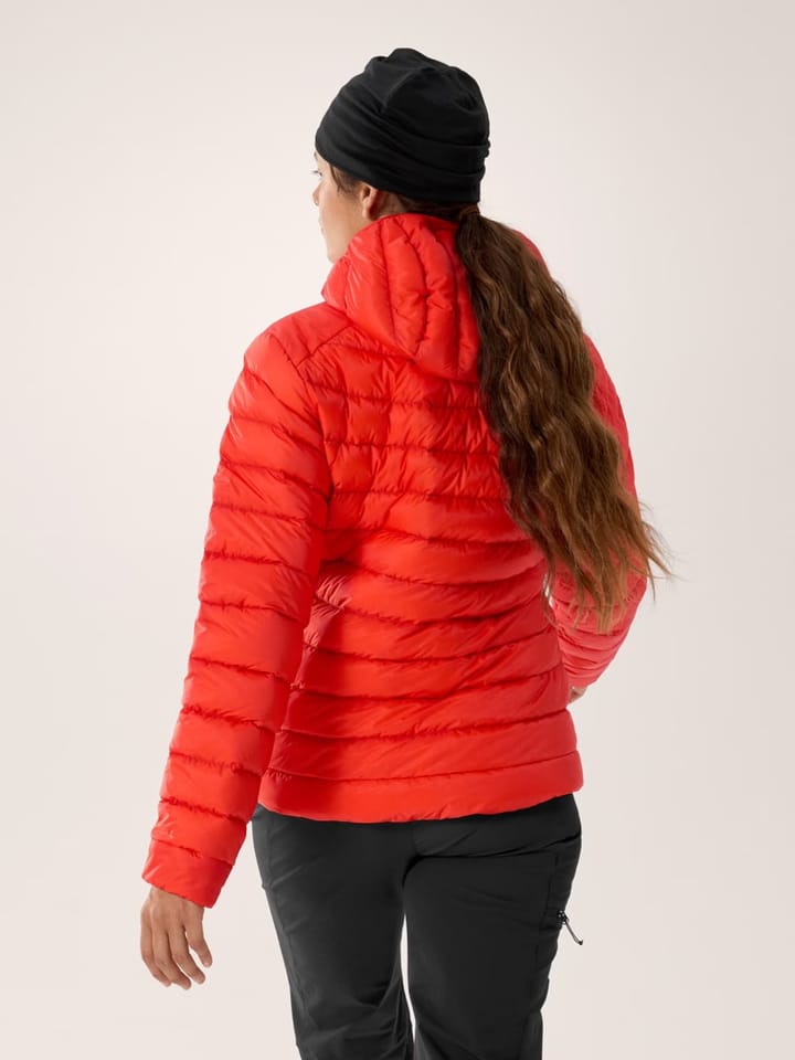 Arc'teryx Women's Cerium Hoody Dynasty Arc'teryx