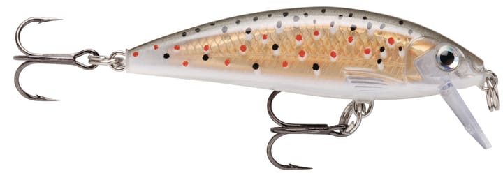 Rapala X-Rap Countdown Rapala
