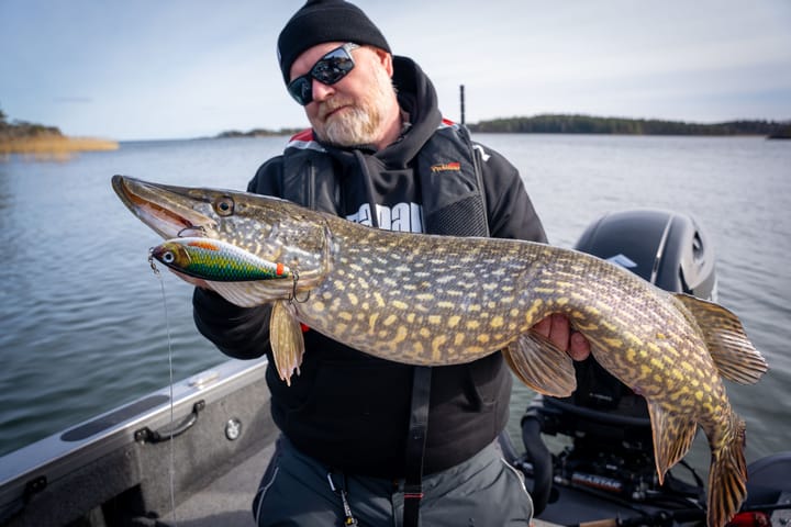 Rapala X-Rap Haku Flm Rapala