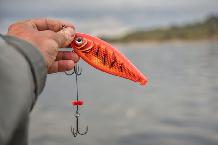 Rapala X-Rap Haku Flm Rapala