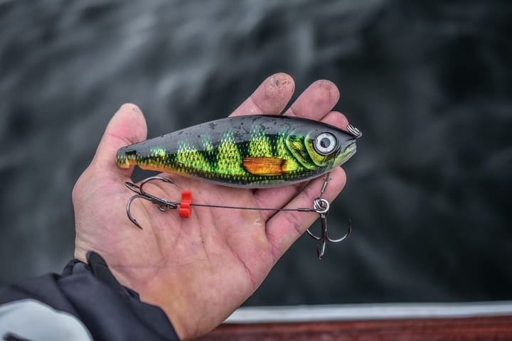 Rapala X-Rap Haku Flm Rapala