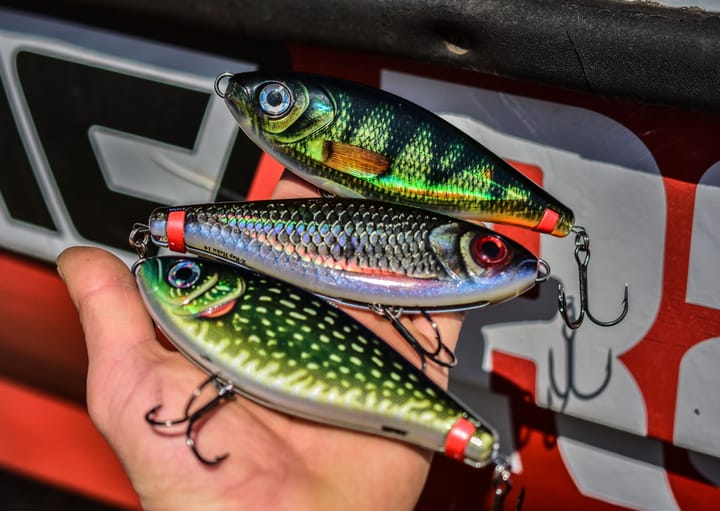 Rapala X-Rap Haku Flm Rapala