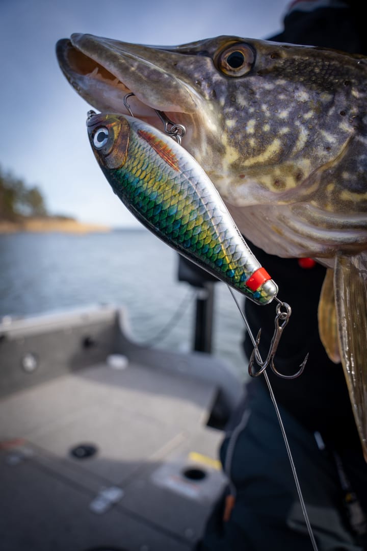 Rapala X-Rap Haku Flm Rapala