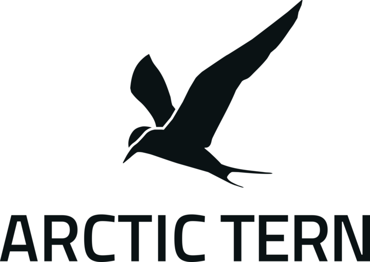 Arctic Tern