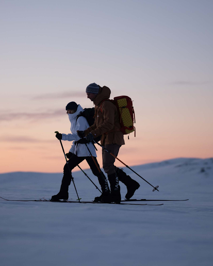 Skisko og fjellskisko